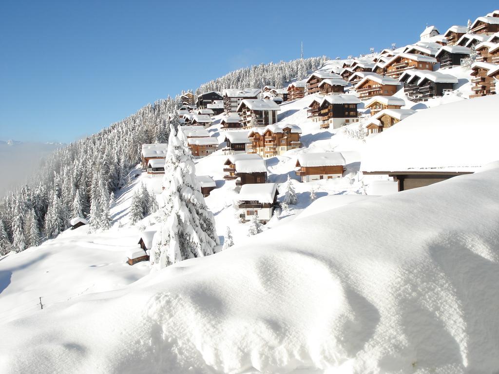 Chalet Foresta Bettmeralp Exterior foto
