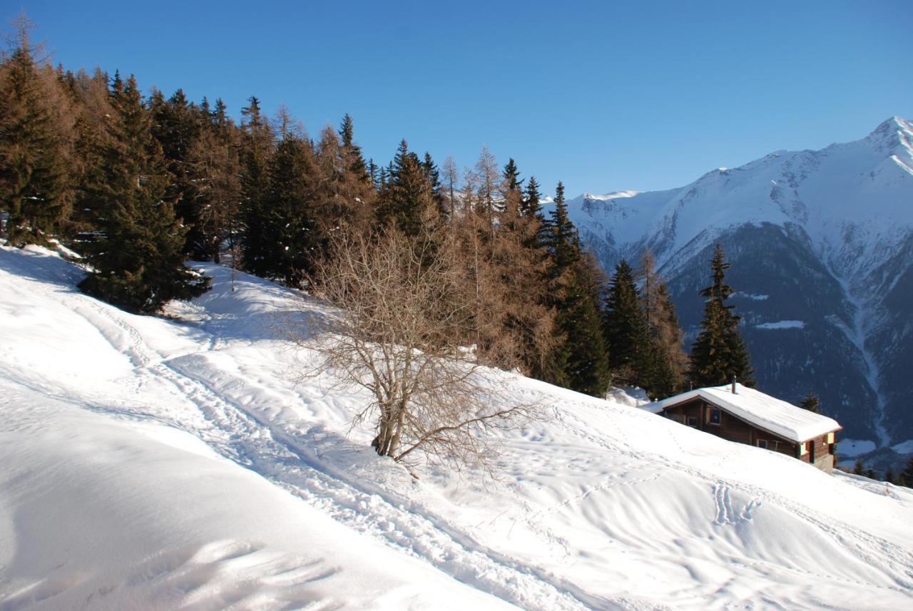 Chalet Foresta Bettmeralp Exterior foto